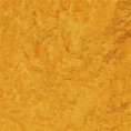 /products/3125-golden-sunset/